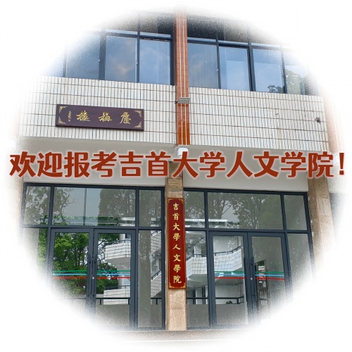 报考